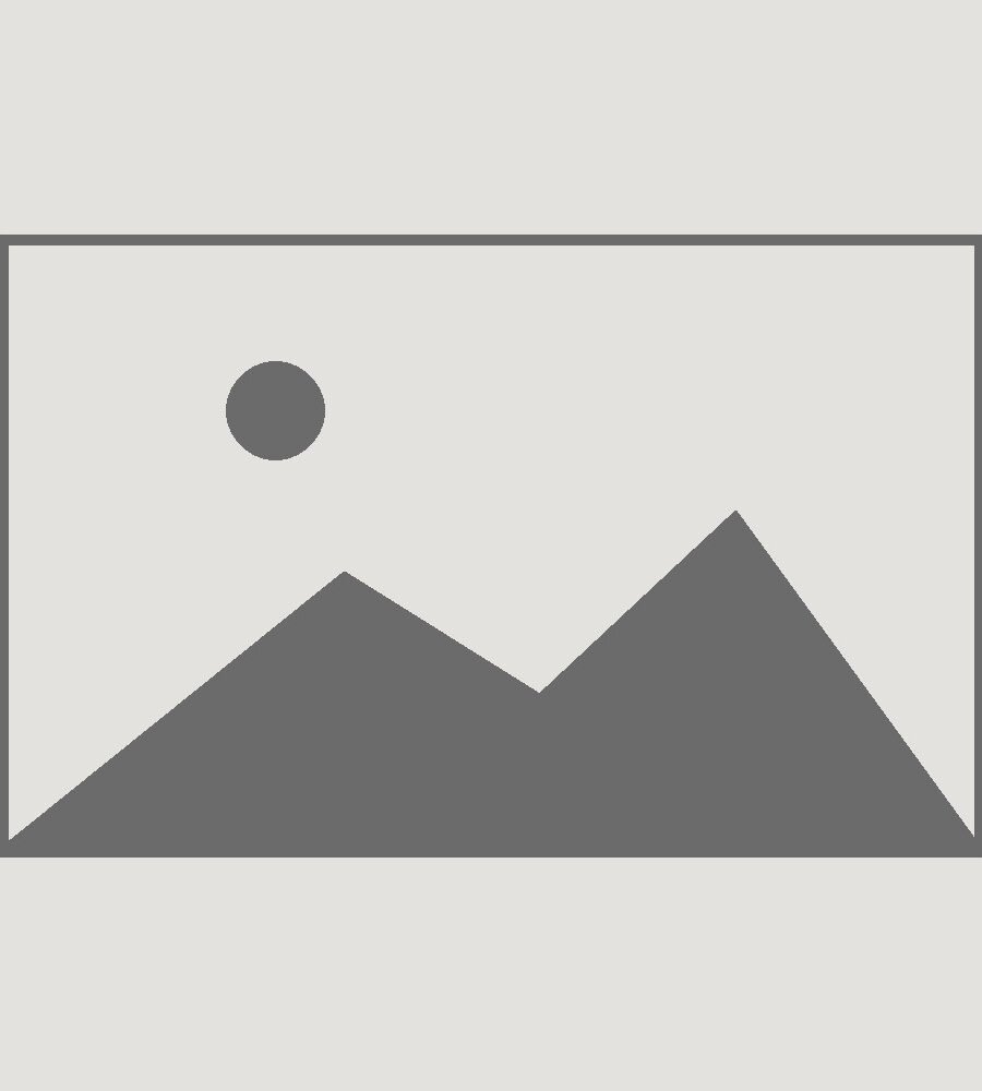 Placeholder photograph — replace with your own